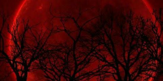 Imagem do grupo de WhatsApp Clã de vampiros e lobos