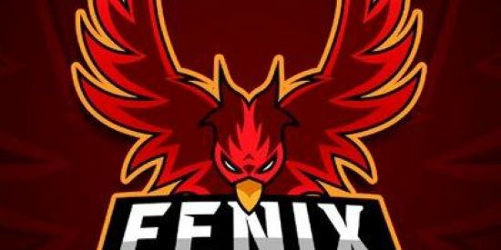 Imagem do grupo de WhatsApp 🌛 Recrutamento Fênix 🌜