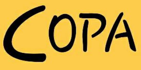 Imagem do grupo de WhatsApp COPA FREE FIRE