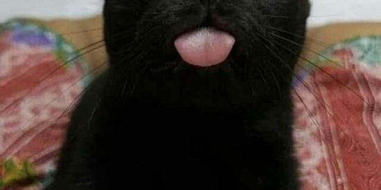 Imagem do grupo de WhatsApp 🌻Depressão e Ansiedade🌻