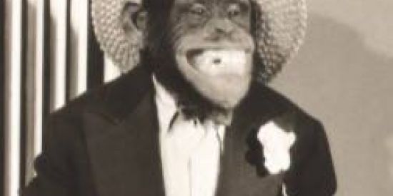 Imagem do grupo de WhatsApp GALIVIS CAPÍTULO 4.0🐔👺