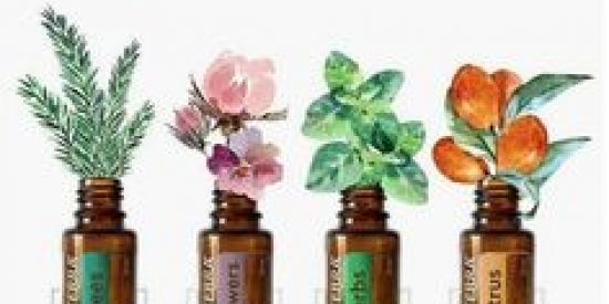 Imagem do grupo de WhatsApp Viva Melhor com óleos essenciais