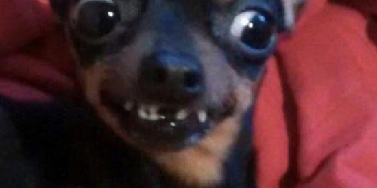 Imagem do grupo de WhatsApp ❌ZUEIRA❌