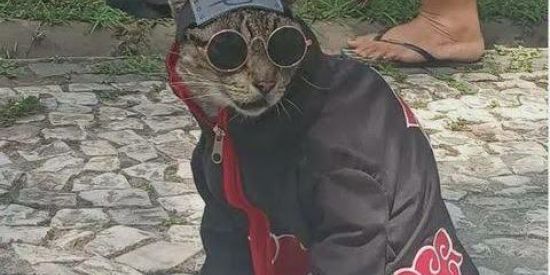 Imagem do grupo de WhatsApp Quase tudo liberado