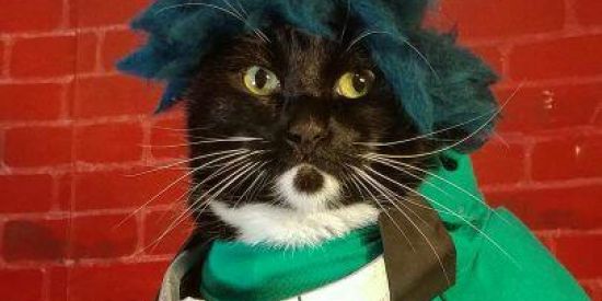 Imagem do grupo de WhatsApp Grupo de anime