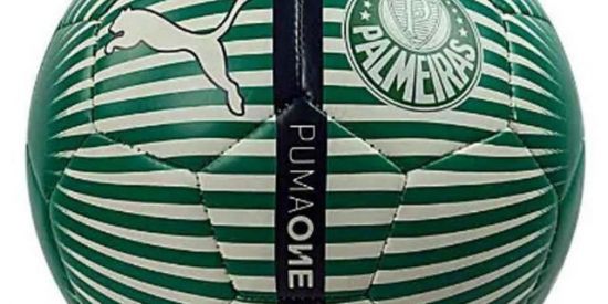 Imagem do grupo de WhatsApp Família palmeiras💚💚💚💚