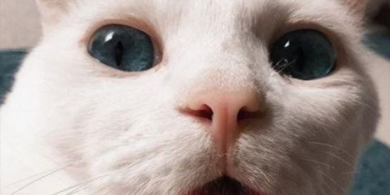 Imagem do grupo de WhatsApp 〰💜 Status aleatórios💜〰