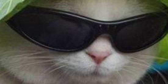 Imagem do grupo de WhatsApp 🔥SHITPOST❄〆