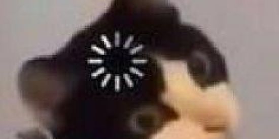 Imagem do grupo de WhatsApp Tchubirau daum daum🐦