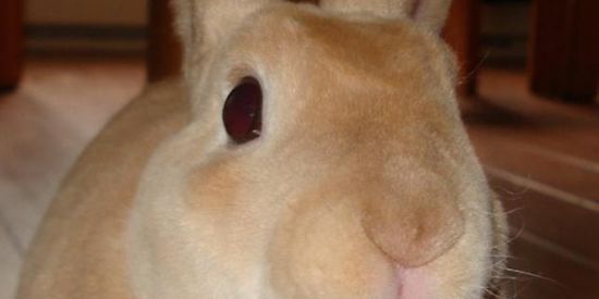 Imagem do grupo de WhatsApp Foguinho 🔥 On😏