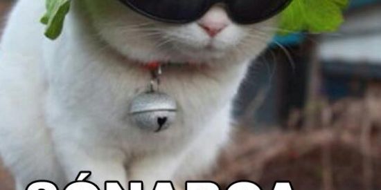 Imagem do grupo de WhatsApp Panela aq nao 🤣🤣 bora faze amizade