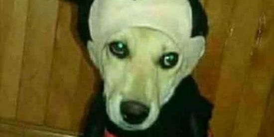 Imagem do grupo de WhatsApp 社交的なグループ