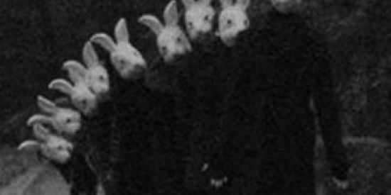 Imagem do grupo de WhatsApp 🐰ɦσรρÍ૮เσ ∂σร αlσρ૨α∂σร🐰