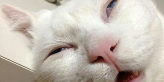 Imagem do grupo de WhatsApp Depressão e ansiedade🍃💫