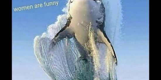 Imagem do grupo de WhatsApp Divulgação instaa