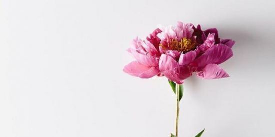 Imagem do grupo de WhatsApp Amizade sem limites