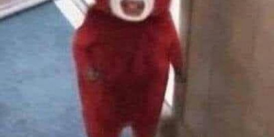 Imagem do grupo de WhatsApp Horror e Armonia 🤡🎪✨🎭