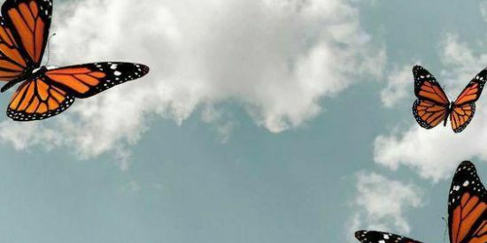 Imagem do grupo de WhatsApp Grupo  para meninas (aprov