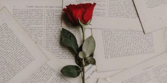 Imagem do grupo de WhatsApp Grupo Literatura 🍁