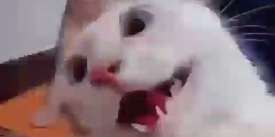 Imagem do grupo de WhatsApp NOVA AMIZADES