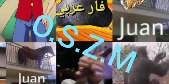 Imagem do grupo de WhatsApp O.S.Z.M