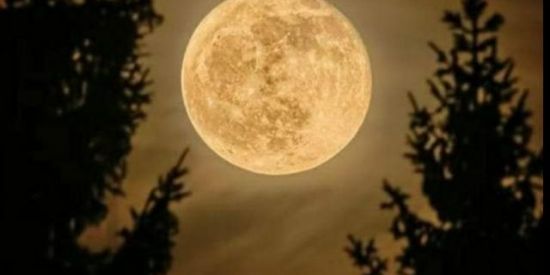 Imagem do grupo de WhatsApp Novos contatos amizade🔛🔞💥