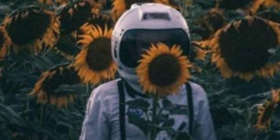 Imagem do grupo de WhatsApp Aleatoriamente