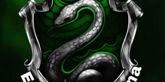 Imagem do grupo de WhatsApp Recrutamento🧁||Sonserina💚