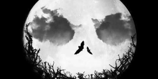 Imagem do grupo de WhatsApp Reino dos abiguinhos