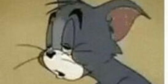 Imagem do grupo de WhatsApp amizades virtuais 24hrs📌