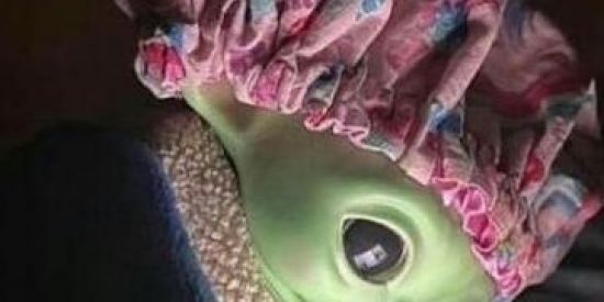 Imagem do grupo de WhatsApp Galinha sedutora