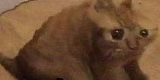 Imagem do grupo de WhatsApp SUA MÃE