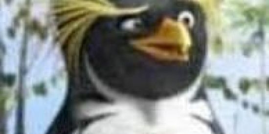 Imagem do grupo de WhatsApp SHITPOSTINGKKJ🧉