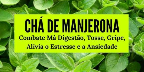 Imagem do grupo de WhatsApp 🌿🌿REMÉDIOS CASEIROS 🌿🌿