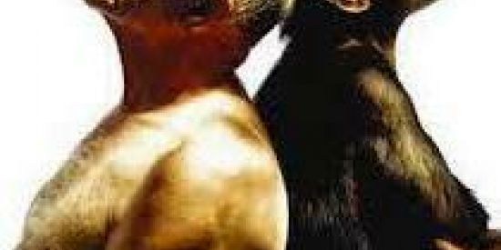 Imagem do grupo de WhatsApp Primata Pensador