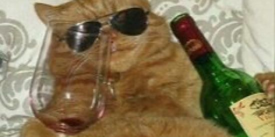 Imagem do grupo de WhatsApp igreja🤙🏻🤙🏻