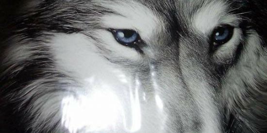 Imagem do grupo de WhatsApp Vídeos e fotos de tudo