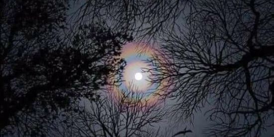 Imagem do grupo de WhatsApp O círculo