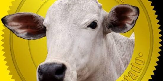 Imagem do grupo de WhatsApp Zoológico🦍🦖