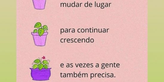 Imagem do grupo de WhatsApp ✨SEGUIMORES REAIS ✨