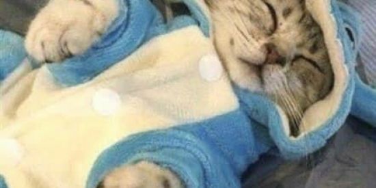 Imagem do grupo de WhatsApp Amizadexx👉🏼👈🏼💖