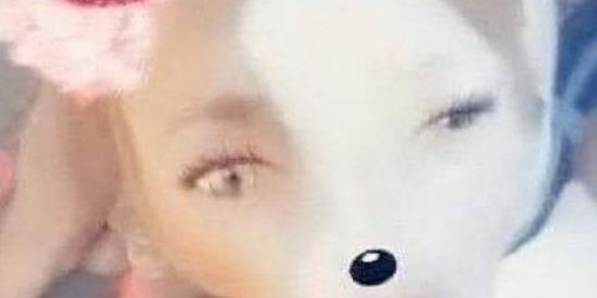 Imagem do grupo de WhatsApp wesley safadao