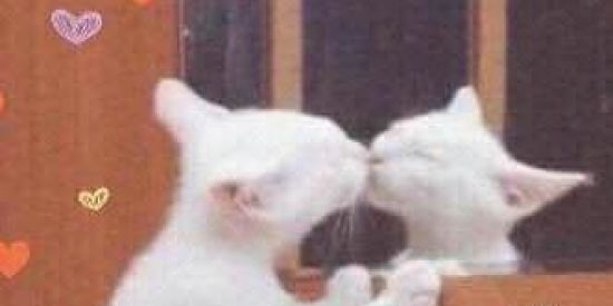 Imagem do grupo de WhatsApp EYER Blue ar bRown