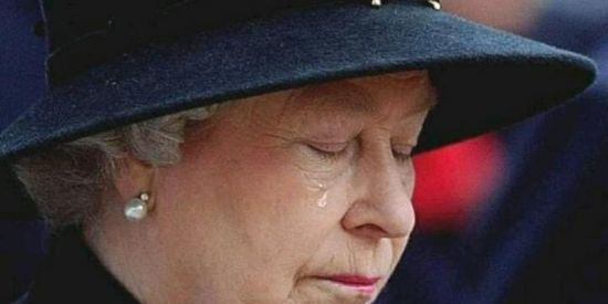 Imagem do grupo de WhatsApp Galinha Azul🤙🏻🤙🏻