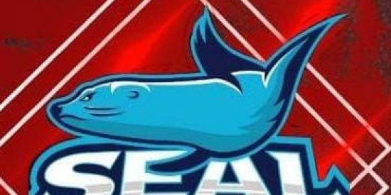 Imagem do grupo de WhatsApp PROCURO PATROCINADOR FF