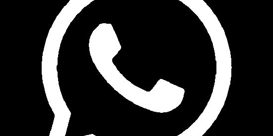 Imagem do grupo de WhatsApp Triagem Blood Kings