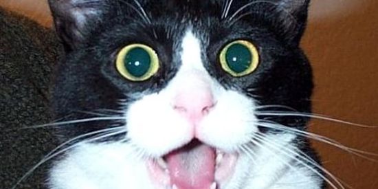 Imagem do grupo de WhatsApp 😇A.L.E.A.T.O.R.I.O.S❤️