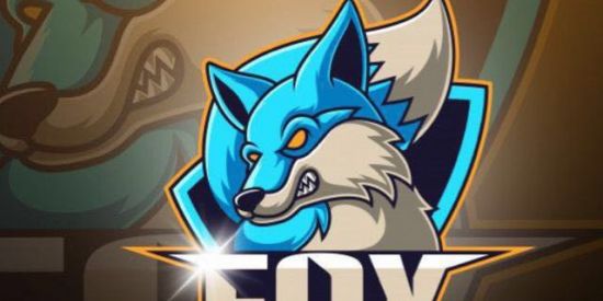 Imagem do grupo de WhatsApp FØX E SPORTE XTREINO