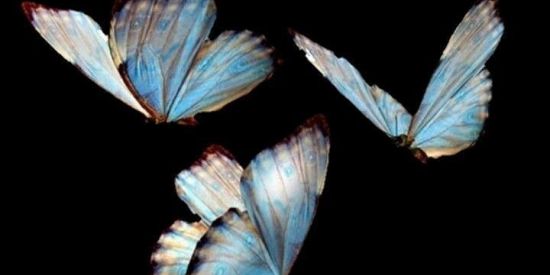 Imagem do grupo de WhatsApp Projeto kc🥰