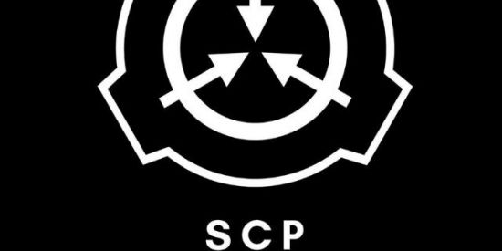 Imagem do grupo de WhatsApp Fundação scp